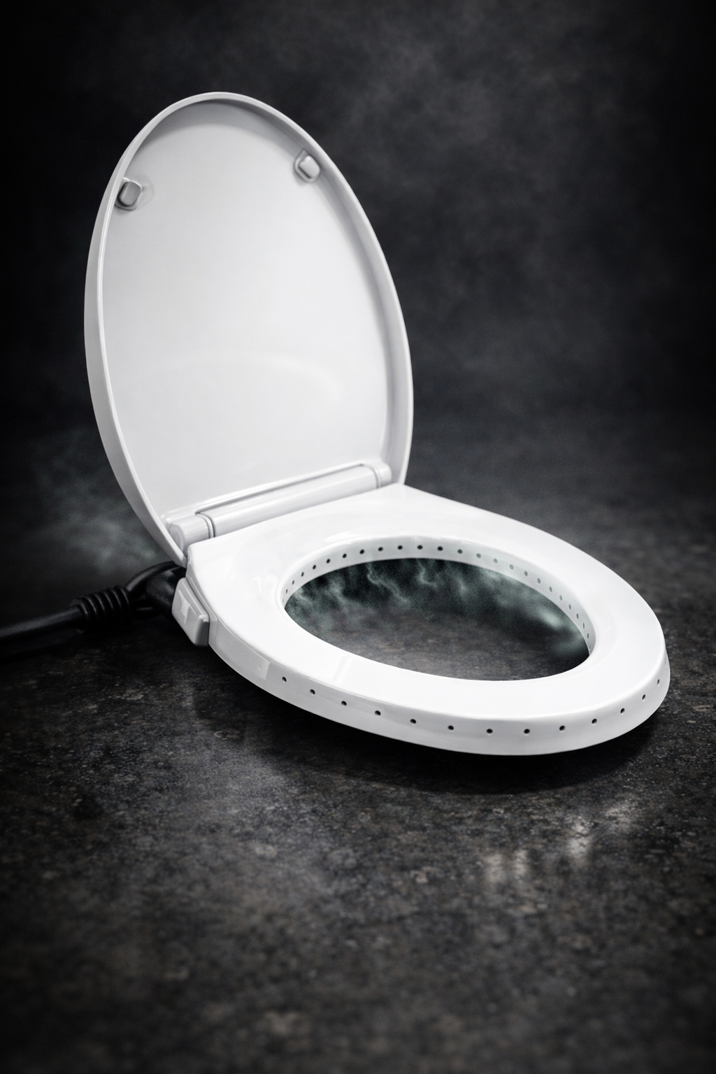 BioLoop Toilet Rim Intake